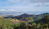 Trail Walking Saint-Raphaël - isabelle  - Photo 18