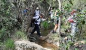 Tocht Stappen Le Tholonet - crête du marbre-petite mer - Photo 2