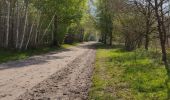 Trail Walking Avilly-Saint-Léonard - randonnée en forêt de chantilly - Photo 3