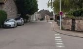 Tocht Stappen Gibles - GIBLES ET SA CAMPAGNE - Photo 10