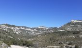 Trail Walking Cheval-Blanc - gorge regalon Claudine Dan - Photo 9