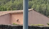 Excursión Senderismo Les Arcs-sur-Argens - font du loup vers taradeau les arcs - Photo 19