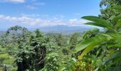 Tour Wandern Le Vauclin - Boucle Montagne Vauclin - Photo 5