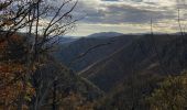 Trail Walking Prévenchères - Cévennes  - Photo 1