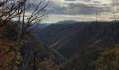 Tocht Stappen Prévenchères - Cévennes  - Photo 1