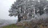 Randonnée Marche Jussy - JUSSY - gelée blanche - Photo 4