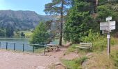 Trail Walking Le Valtin - Les quatre lacs - Photo 10