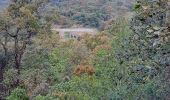 Trail Walking Hyères - N3 1er Borrels - Photo 5