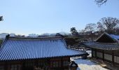 Tour Wandern Unknown - Changdeokgung palace - Photo 12