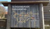 Randonnée A pied Schauenburg - Schauenburg, S9 - Photo 7