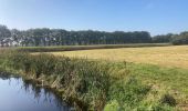 Trail On foot Hoogeveen - Groene rondwandeling - Photo 6
