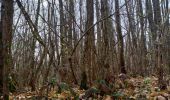 Trail Walking Varacieux - Combe Robert depuis Essemat - Photo 9