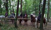 Tour Reiten Lobsann - Lobsann et alentours - Photo 3