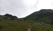 Randonnée Marche Plancherine - chalet de Drison à nant fourchu  - Photo 2