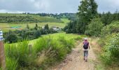 Tocht Stappen Sankt Vith - Lommersweiler  variante chouette  - Photo 14