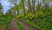 Tour Wandern Philippeville - Balade à Omezée - Photo 8