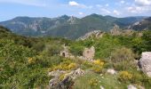 Trail Walking Castellar - Castellane - roc d'Ormea - Photo 4