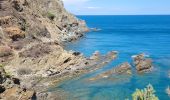 Trail Walking Banyuls-sur-Mer - banyu - Photo 2