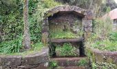 Tocht Stappen Calheta - Madère : de Rabaçal vers les 25 sources - Photo 2