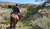 Trail Horseback riding Arguedas - Bardenas jour 7 - Photo 12