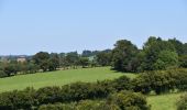 Tocht Stappen Limburg - Limbourg BIO 7,5 km le 29-07-2024 - Photo 4