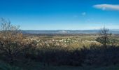 Randonnée Marche Allan - Allan Château de Rochefort en Valdaine - Photo 8