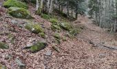 Trail Walking Orlu - Jasse de Parau - Photo 1