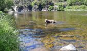 Tour Wandern Saint-Fortunat-sur-Eyrieux - 07 st fortunat dubieres st Vincent dufort - Photo 13