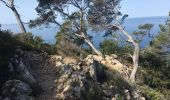 Excursión  Saint-Cyr-sur-Mer - Sentier du littoral et des vigne - Photo 6