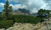 Trail Walking Quenza - bavella - Photo 1