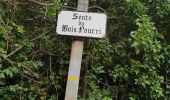 Trail Walking La Roche-Guyon - La Roche Guyon  - Photo 20
