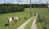 Tocht Stappen Gesves - Gesves - Photo 2