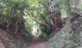 Trail Walking Perche en Nocé - manoir courbpyer - Photo 9