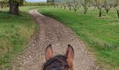 Trail Horseback riding Chasselay - Chasselay 20230423 - Photo 3