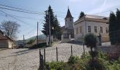 Trail On foot Unknown - Turnu Roșu - Dl. Frasinul - Culmea Pietriceaua (traseul CR) - Photo 1