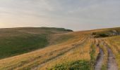 Trail Walking Bouvante - La tête de la Dame - Photo 16