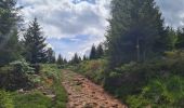 Trail Walking Lutzelhouse - Rocher de Mutzig (variante) - Photo 19