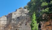 Trail Walking Gordes - Gordes - Abbaye de Senanques 13km - Photo 8