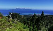 Excursión Senderismo Punaauia - vue panoramique Le Pin vers Mont Mamanu - Photo 2