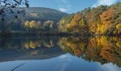 Tour Zu Fuß Edenkoben - Rundweg 1 - Photo 2