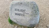Trail Walking Stosswihr - Honeck depuis Gaschney - Photo 11