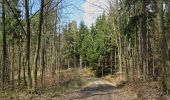 Trail On foot Ebelsbach - Rundwanderweg Maus Ebelsbach - Photo 1