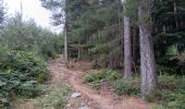 Tocht Stappen L'Albère - ullat . piste . puig orella . puig St cristau . puig orella . ullat - Photo 12