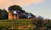 Tour Zu Fuß Moneglia - sejour-cinq-terres-journee-1-decouverte-de-moneglia - Photo 2