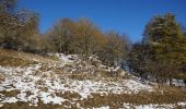 Excursión A pie Velburg - Rundweg um den Sperlasberg - Photo 3