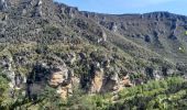 Trail Walking La Malène - Voyage au pays des vautours  - Photo 10