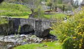 Trail Walking Saint-Chély-d'Aubrac - Aubrac st Come d'olt st Jacques  - Photo 8