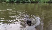 Trail Walking Chancelade - Francis Dordogne - Photo 1