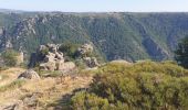 Trail Walking Prévenchères - canyon la guarde guerrin - Photo 2