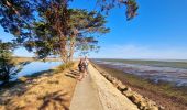 Tocht Stappen Barbâtre - Jeun et Rando J5 - Passage du gois et réserve naturelle - Photo 7